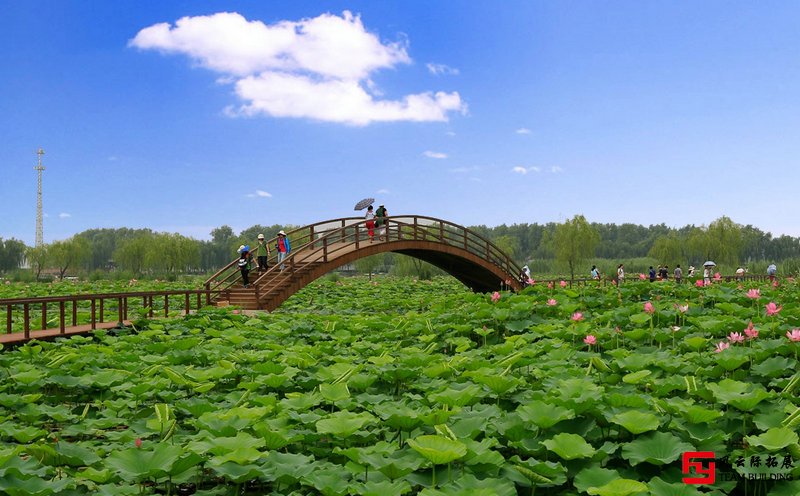 白洋淀團建